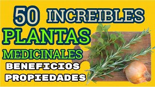 Las Mejores 50 PLANTAS Medicinales Sus Beneficios y Propiedades [upl. by Seleta]