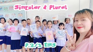 Singular amp Plural Noun  P21 EMS [upl. by Freddy]