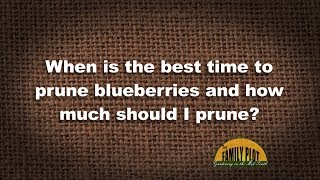 QampA – When should I prune blueberries and how much [upl. by Glyn]