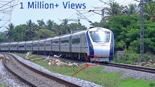 Live Train accident  VANDE BHARAT EXPRESS Run Over Poor Sheep Crossing a Railway Line at Hispeed 🚄 [upl. by Eneloj871]