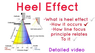 Heel Effect  Xrays [upl. by Sihtam]