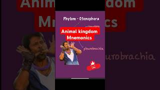 Mnemonics phylum ctenophora neet25 neet neetbiology Mnemonics neetpreparation neetmotivation [upl. by Aemat]