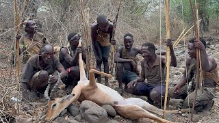 See how bushmen hunt big antelope for survival in the wilderness today [upl. by Enrev213]