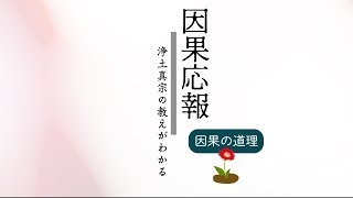 第４回：「因果応報」を味方につける｜今、この瞬間から不運な人生を好転させる秘訣 [upl. by Stephenie820]