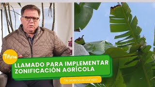 Llamado para implementar zonificación agrícola  TvAgro por Juan Gonzalo Angel Restrepo [upl. by Jacobina]