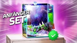 30 Liter Garnelen Aquarium  Aquascaping ideas [upl. by Eibber]