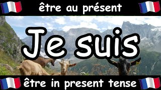 French Conjugation Song  Être  Celtic Music [upl. by Itagaki583]