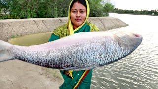 জীবনে এই প্রথমবার এত বড় পদ্মার ইলিশ মাছ দেখলাম আর কেটে রান্না করলামhilsha fish cutting ampcooking [upl. by Ydnab179]