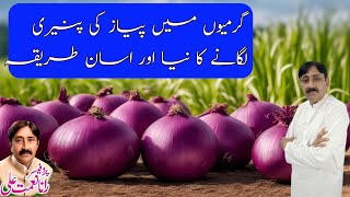 Onion nursery  Pyaz ki Paneeri Lagany Ka naya Tarika [upl. by Mcallister]