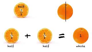 What is Half Fractions for Year 1 [upl. by Auqeenwahs]