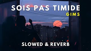 GIMS  Sois pas timide  Slowed amp Reverb [upl. by Eibber]