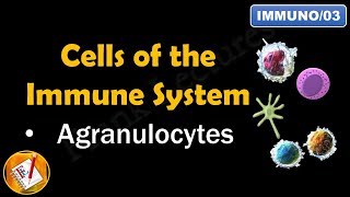 Cells of the Immune System PART II  AGRANULOCYTES FLImmuno03 [upl. by Michal348]