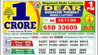 Lottery Result Today 1pm 12112024  Official  Nagaland Lottery [upl. by Swiercz494]