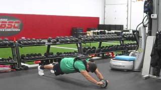 Standing Ab Wheel Rollouts [upl. by Ayhay]