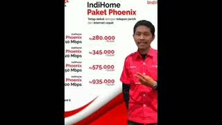 IndiHome Paket Phoenix Meme [upl. by Amliw96]