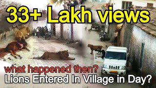 AMAZING PERILOUS VIDEO  A LIONESS entered in VIRPUR village in the day and killed cattle at center [upl. by Anasiul992]