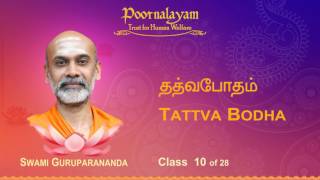 TB 10 Tattva Bodha [upl. by Raual]