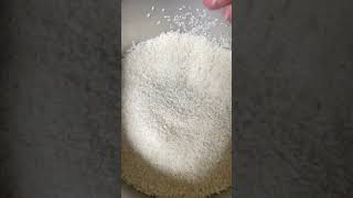 Ghee rice in rice cooker😋 cooking shortsonyoutube food cookingshorts shorts gheerice easy [upl. by Eicam]