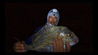 Catch and Cook SNAPPER amp WHITING  Spear Rock amp Beach Fishing [upl. by Ttergram]