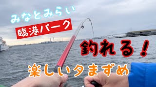 【横浜みなとみらい臨港パーク】釣れる！トリックサビキ釣り！4月下旬 [upl. by Labaw]