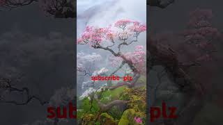 nature ai videonature viralvideoSDBartist yutubeshorts trending video [upl. by Emoryt]