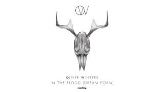 Oliver Winters  In The Flood Dream Form [upl. by Ashia]