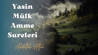 Yasin  Mülk  Nebe Sureleri Tamamı Tek Video  Abdullah Altun [upl. by Darum]