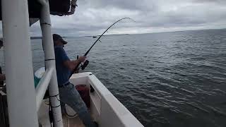 after the striped bass off Nova Scotia [upl. by Janetta]