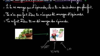 Raisonnement conditionnel et déduction [upl. by Sanfred]