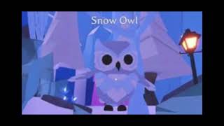 20 names for a snow owl adopt me [upl. by Natika]