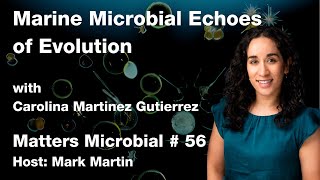 Matters Microbial 56 Marine Microbial Echoes of Evolution [upl. by Adna]