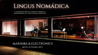 Lingus Nomádica for marimba amp electronics Juan Carlos Bonifaz amp Carlos Passeggi [upl. by Aleksandr]