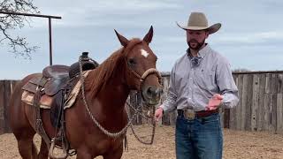 Ben Baldus Hackamore vs Snaffle [upl. by Irianat]