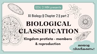 Biological Classification  Class 11 Biology  Chapter 2 Part 2 [upl. by Etnoval]