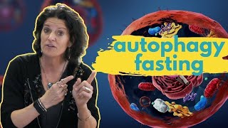 AUTOPHAGY FASTING  How Long Should You Fast to Maximize Your Health Benefits [upl. by Ecela]