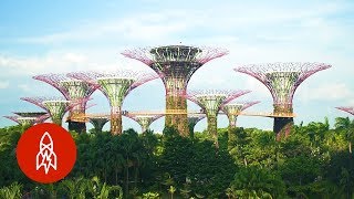 Visit Singapores Stunning Grove of ManMade Trees [upl. by Illac]