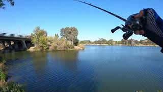 Almaden Lake Bed Fishing for Largemouth Bass [upl. by Liane314]