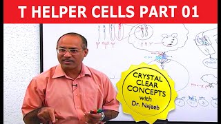 T Helper Cells  Immunology  Part 110 [upl. by Michell]