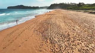 Mona Vale Beach [upl. by Wanfried]