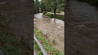 Hochwasser Lage aktuell angespannt Dauerregen Regen Starkregen Unwetter Überschwemmung jetzt Wien NÖ [upl. by Anallij]