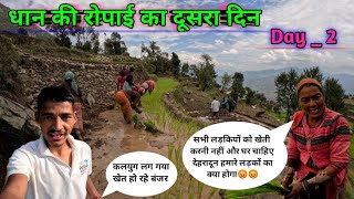 Dhan ki Ropaayi Ka Dusra Din  Or⛰️ Pahadon Se 🌇 Saharon Ki Or Palaayan  Daily Lifestyle Vlog [upl. by Rosemonde]