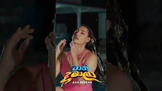 වාන් දමාලා  Waan Damala 🎼 Music video එක ලඟදීම බලමු Subscribe කරලා සෙට් වෙලා ඉන්න ලමායි🫶 [upl. by Sheepshanks]