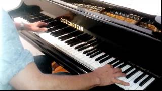 Ave Maria Liszt Schubert Bechstein A185 [upl. by Christianna]