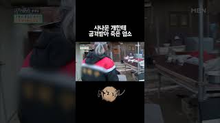 사나운 개한테 공격받아 죽어버린 염소 [upl. by Argyle]