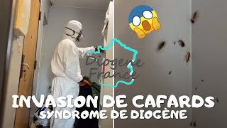 Diogène France  UN APPARTEMENT INFESTÉ DE CAFARDS  😱 extrême [upl. by Harvard]