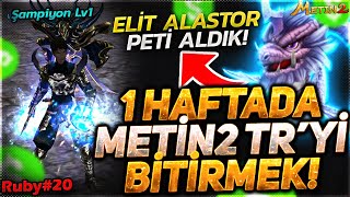 YENİ SPONSOR  NİNJAMIZ ŞAMPİYON LV  ELİT ALASTOR PETİ ALDIK  METİN2 TR RUBY BÖLÜM 20 [upl. by Enirehtac954]