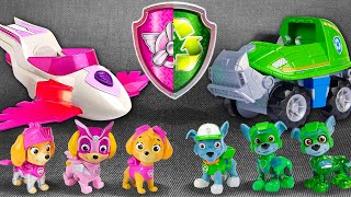 Paw Patrol Unboxing Collection Review  Lucky Turtle Car Toy Unboxing  ASMR Toys for Kids [upl. by Atsahc961]