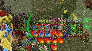 Tibia SLEEPERS PELORIA WAR MATT REAPERS die 1160 MS [upl. by Saravat]