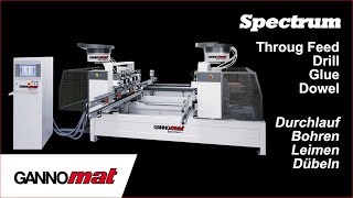 ThroughFeed Drill Glue Dowel Machine  GANNOMAT Spectrum [upl. by High823]