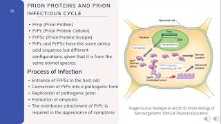 Viroids amp Prions Group 6 Biology 120 EFG [upl. by Marshal576]